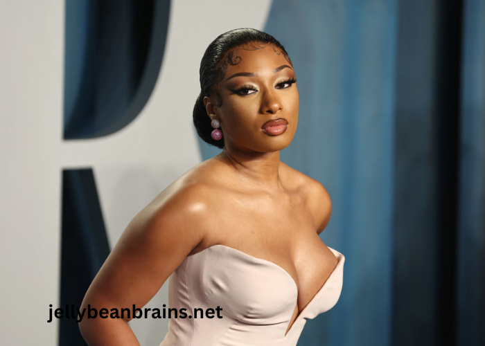 Megan Thee Stallion's Net Worth in 2024